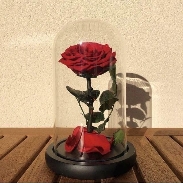 Rose Éternelle - Rouge