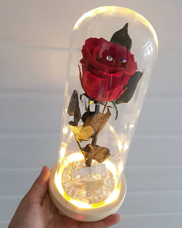 Roses éternelles