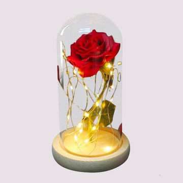 Rose Éternelle - Rouge Lumineuse